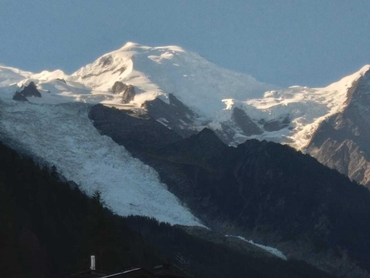 Cocon Douillet Au Pied De L'Aiguille Du Midi Διαμέρισμα Σαμονί Εξωτερικό φωτογραφία